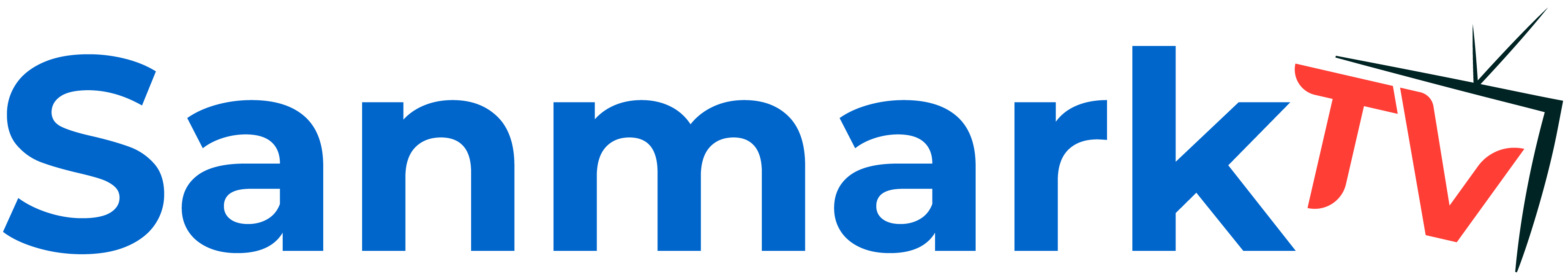 Sanmark Tv logo-1